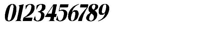 Fitgad Bold Italic Condensed Font OTHER CHARS