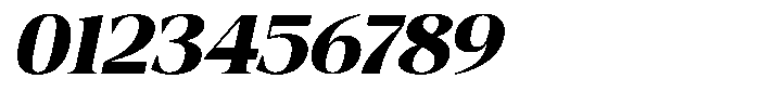 Fitgad Bold Italic Expanded Font OTHER CHARS