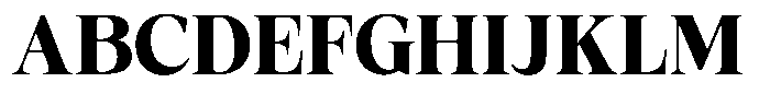 Fitgad Bold Font UPPERCASE