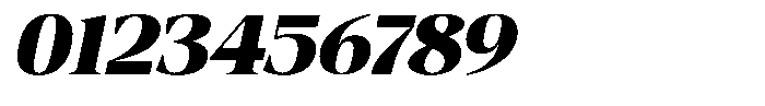 Fitgad Extra Bold Italic Expanded Font OTHER CHARS