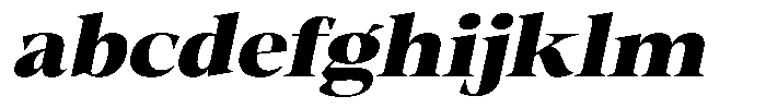Fitgad Extra Bold Italic Expanded FONT