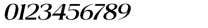 Fitgad Italic Expanded Font OTHER CHARS