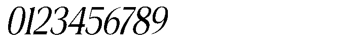 Fitgad Light Italic Condensed Font OTHER CHARS