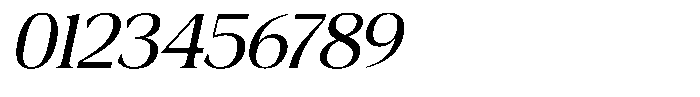 Fitgad Light Italic Semi Expanded Font OTHER CHARS
