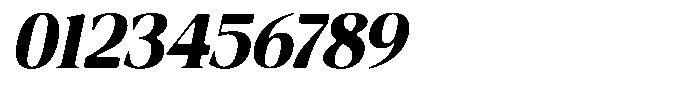 Fitgad Soft Bold Italic Font OTHER CHARS