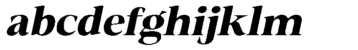 Fitgad Soft Bold Semi Expanded Italic FONT