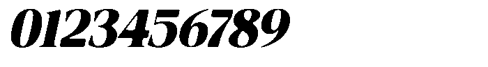 Fitgad Soft Extra Bold Italic Font OTHER CHARS