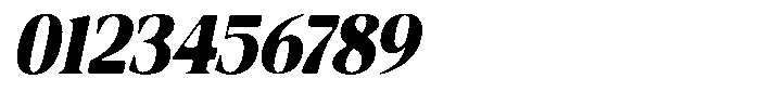 Fitgad Soft Extra Bold Semi Condensed Italic Font OTHER CHARS