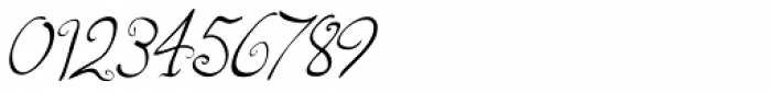 Fizgiger Alternate Oblique Font OTHER CHARS