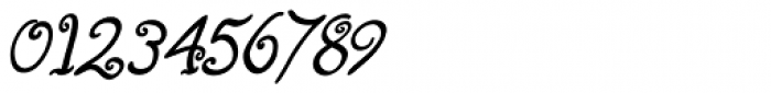 Fizgiger Bold Oblique Font OTHER CHARS