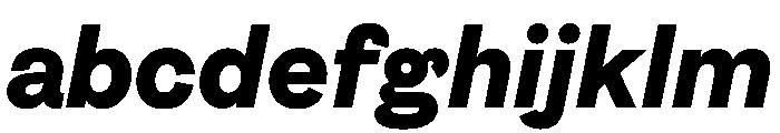 FigGrotesk BlackItalic FONT