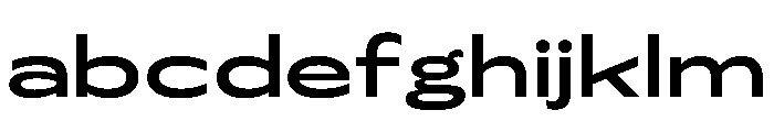Figiel Bolder Instance FONT