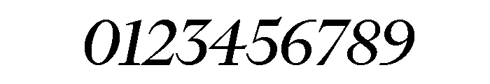 FinancierDisplayVF Italic Font OTHER CHARS