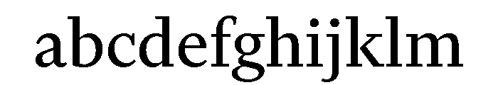 FinancierTextVF Roman FONT