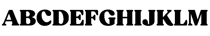 Fields Black Font UPPERCASE