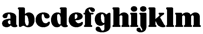 Fields Black FONT