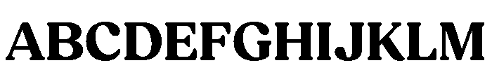 Fields Bold Font UPPERCASE