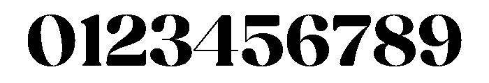 Fields Display Bold Font OTHER CHARS