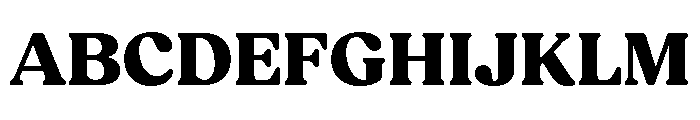Fields Extra Bold Font UPPERCASE