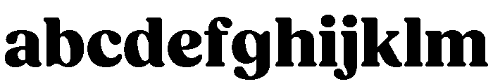 Fields Extra Bold FONT