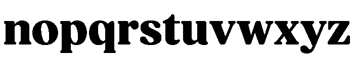 Fields Extra Bold Font LOWERCASE