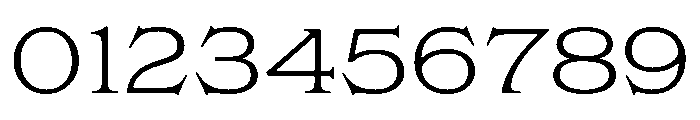 Flexion Thin Font OTHER CHARS