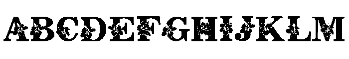 FLOWER HIBISCUS Font UPPERCASE