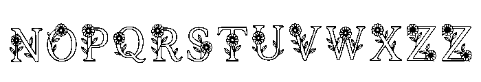 Fleas Regular Font UPPERCASE