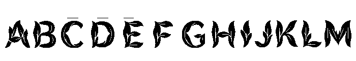 Fleet Regular FONT