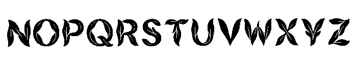 Fleet Regular Font LOWERCASE