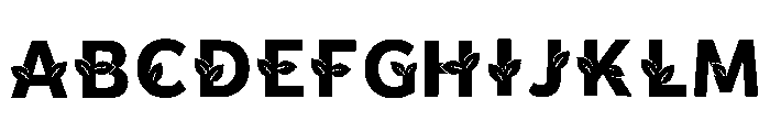 Fleta Regular FONT