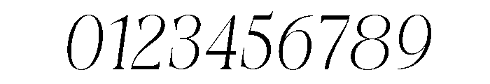Fleurs Venotta Italic Font OTHER CHARS