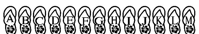 Flip flops beach FONT