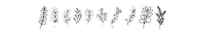 Floral Line Art Font OTHER CHARS