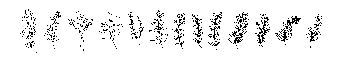 Floral Line Art Font UPPERCASE