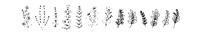 Floral Line Art Font UPPERCASE