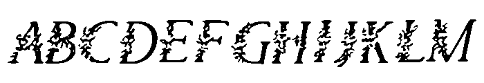 Floral_Ornament Font UPPERCASE