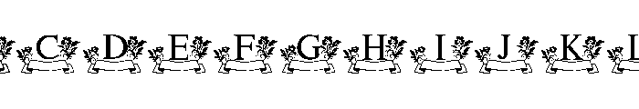 Floral Ribbon Monogram FONT