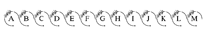 FloralFrame Monogram Font UPPERCASE