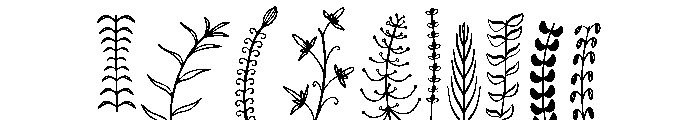 Floralia Dingbat Font OTHER CHARS