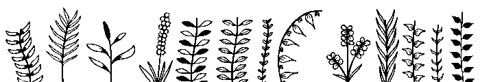 Floralia Dingbat Font UPPERCASE