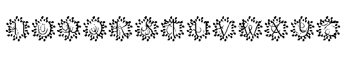 Florava Monogram Font UPPERCASE