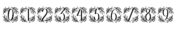 Floravine Monogram Font OTHER CHARS