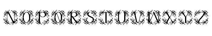 Floravine Monogram Font LOWERCASE
