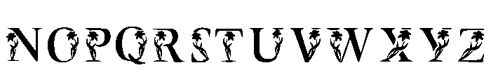 Florelia Monogram Regular Font LOWERCASE
