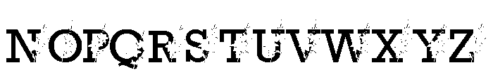 Flowers Garden Monogram Font UPPERCASE