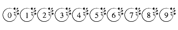 Flowers Monogram Font OTHER CHARS