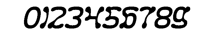 Fluidity Italic Font OTHER CHARS