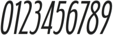 Fledgling Book Italic otf (400) Font OTHER CHARS