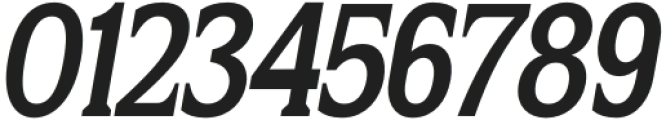 Flektura Italic otf (400) Font OTHER CHARS